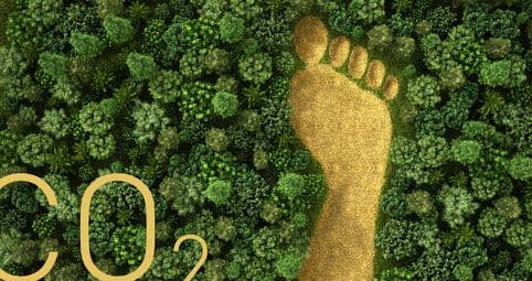 Goldener Fußabdruck auf grünem Moosbett mit CO2-Schriftzug, symbolisiert ökologischen Fußabdruck und Nachhaltigkeit